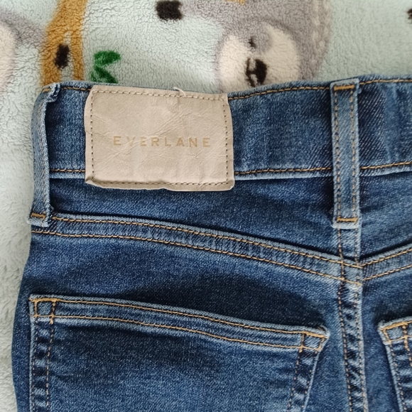 Everlane Way-High Skinny Jean Crop in Mid Blue - Picture 8 of 9